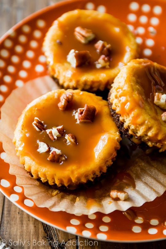 Cozy Fall Indulgence: Salted Caramel Pumpkin Cheesecakes Recipe
